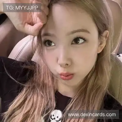 成歌舟